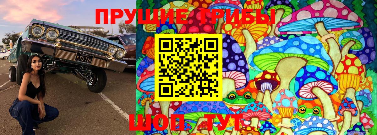 Рославль  закладка  Вход с VPN  Галлюциногенные грибы Psilocybe 